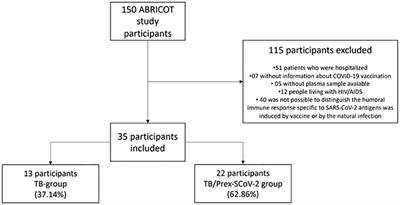 The effect of previous SARS-CoV-2 infection on systemic immune responses in individuals with tuberculosis